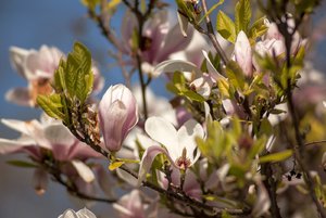 comp_IMG_9597.jpg comp_IMG_9597.jpg