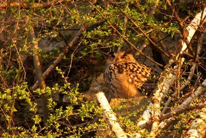 comp_DMC-GX7 - P1610846.RW2.jpg comp_DMC-GX7 - P1610846.RW2.jpg