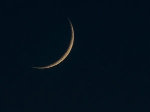 IMG_7323.jpg IMG_7323.jpg