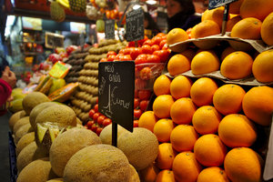 IMG_3136.jpg IMG_3136.jpg