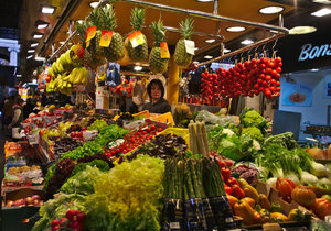 IMG_3145_01.jpg IMG_3145_01.jpg