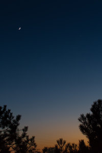 IMG_7357.jpg IMG_7357.jpg