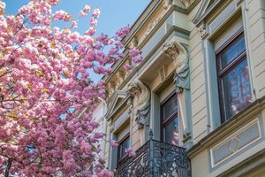 comp_ 21. April 2015.jpg