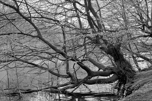 19-04-2015_R8_08.jpg 19-04-2015_R8_08.jpg