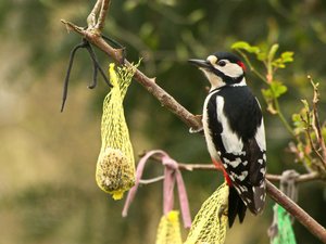 comp_DMC-GX7 - P1570029.RW2.jpg