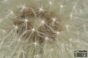 DSC05521_bearbeitet-1.JPG DSC05521_bearbeitet-1.JPG