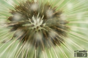 DSC05523_bearbeitet-1.JPG DSC05523_bearbeitet-1.JPG