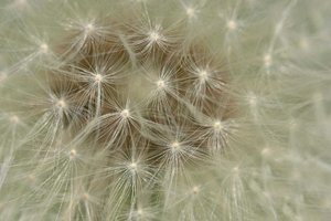 comp_DSC05521_bearbeitet-11.jpg comp_DSC05521_bearbeitet-11.jpg