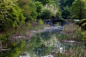 comp_IMG_8096 Kopie.jpg