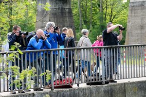 comp_DSC_0807 Kopie.jpg