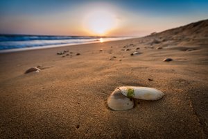 2015-04-10 20.41.25.jpg 2015-04-10 20.41.25.jpg