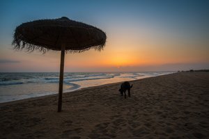 2015-04-10 20.51.51.jpg 2015-04-10 20.51.51.jpg