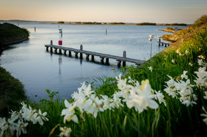 für Fotoforum (1 von 12).jpg