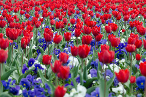 für Fotoforum (4 von 12).jpg