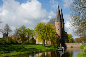 für Fotoforum (7 von 12).jpg