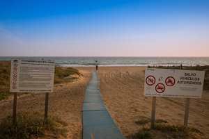 IMG_4618.jpg IMG_4618.jpg