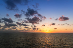 IMG_4940.jpg IMG_4940.jpg