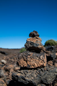 IMG_5171.jpg IMG_5171.jpg