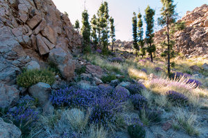 IMG_5309.jpg IMG_5309.jpg