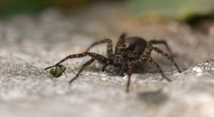 comp_DSC_3204.jpg comp_DSC_3204.jpg