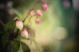 20150501-DSCF3878-3 bearb..jpg