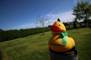 IMG_7010.JPG IMG_7010.JPG