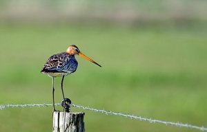 1. Gute Aussichten.jpg