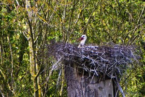 Small_DSC_6822.jpg Small_DSC_6822.jpg