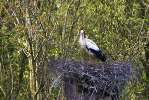 Small_DSC_6871.jpg Small_DSC_6871.jpg