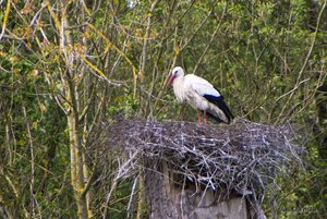 Small_DSC_6900.jpg Small_DSC_6900.jpg