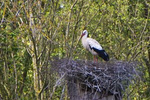 Small_DSC_6921.jpg Small_DSC_6921.jpg