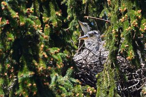 DSC_7365_ji_c.jpg DSC_7365_ji_c.jpg