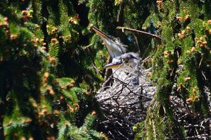 DSC_7374_ji_c.jpg DSC_7374_ji_c.jpg