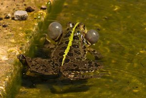 comp_DMC-GX7 - P1640140.RW2.jpg