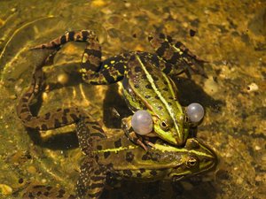 comp_DMC-GX7 - P1640302.RW2.jpg