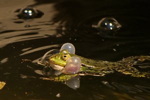 comp_DMC-GX7 - P1640352.RW2.jpg