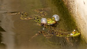 comp_DMC-GX7 - P1640338.RW2.jpg