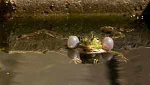 comp_DMC-GX7 - P1640130.RW2.jpg