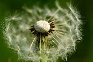 comp_200_4960 - Kopie.jpg