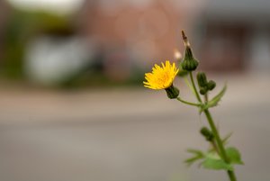 comp_IMG_1309.jpg comp_IMG_1309.jpg