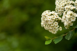 comp_IMG_1327.jpg comp_IMG_1327.jpg