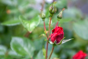 comp_IMG_1329.jpg comp_IMG_1329.jpg