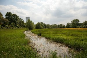 comp_IMG_1299.jpg comp_IMG_1299.jpg