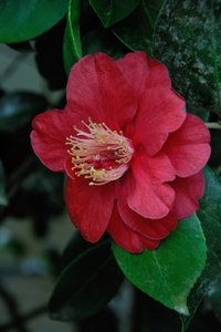 comp_D2X_7878.jpg comp_D2X_7878.jpg