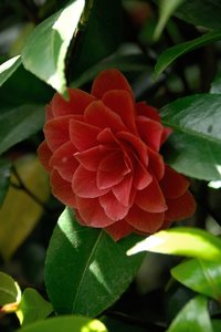 comp_D2X_7891.jpg comp_D2X_7891.jpg