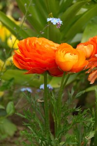 comp_D2X_7861.jpg comp_D2X_7861.jpg