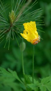 comp_D2X_7918.jpg comp_D2X_7918.jpg