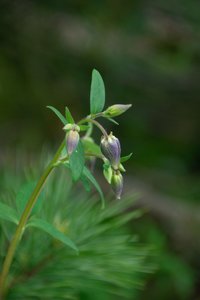 comp_D2X_7920.jpg comp_D2X_7920.jpg