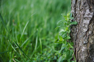 IMG_5500.jpg IMG_5500.jpg