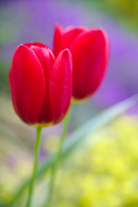 IMG_5534.jpg IMG_5534.jpg